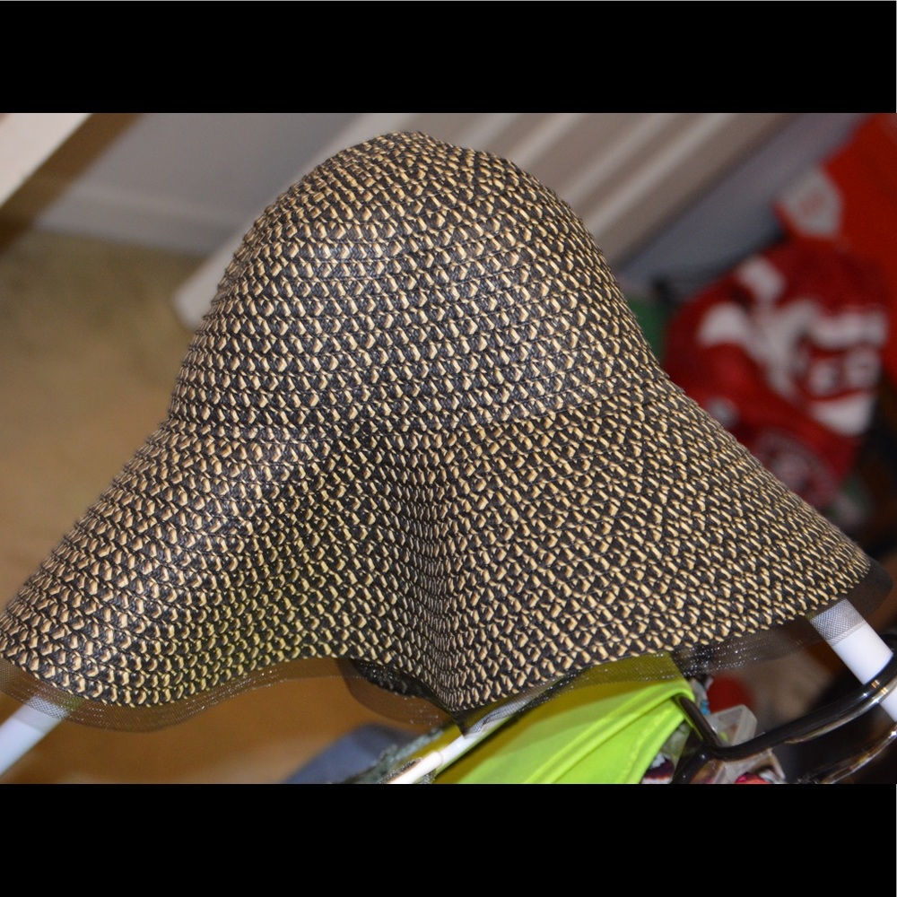 BCBG hat